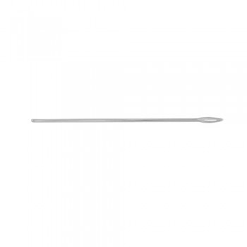 Probe With Eye Stainless Steel, 14.5 cm - 5 3/4" Tip Diameter 2 mm Ø